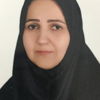 نویسنده کتاب درآمدی بر ترجمه ماشینی:طیبه موسوی میانگاه