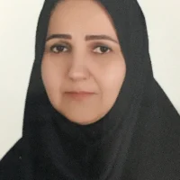 ایران پیپر | کتاب نویسنده کتاب درآمدی بر ترجمه ماشینی:طیبه موسوی میانگاه