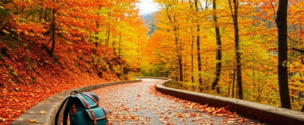 راهنمای سفر کم هزینه در پاییز | ۱۰ نکته مهم و کاربردی