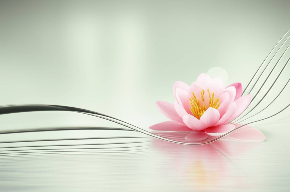 قرص منوپیس ویتابیوتیکس - بررسی جامع ویژگی ها و مزایا