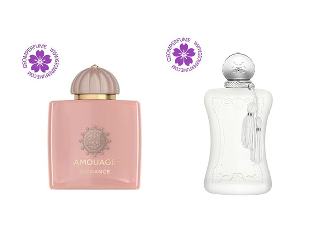 آمواج گایدنس یا مارلی والایا ؟ مقایسه دو عطر نیش لوکس و محبوب